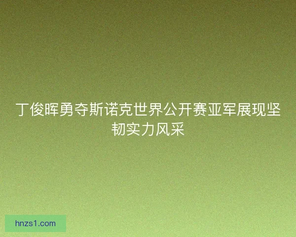 丁俊晖勇夺斯诺克世界公开赛亚军展现坚韧实力风采