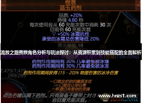 流放之路贵族角色分析与玩法探讨：从资源积累到技能搭配的全面解析